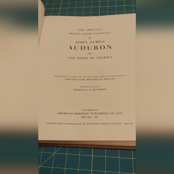 Marsh Hawk Plate 124, Red-Necked Grebe Plate 125 - Picture 4 of 5